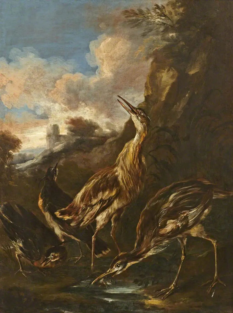 Garças e maçaricos - Melchior de Hondecoeter