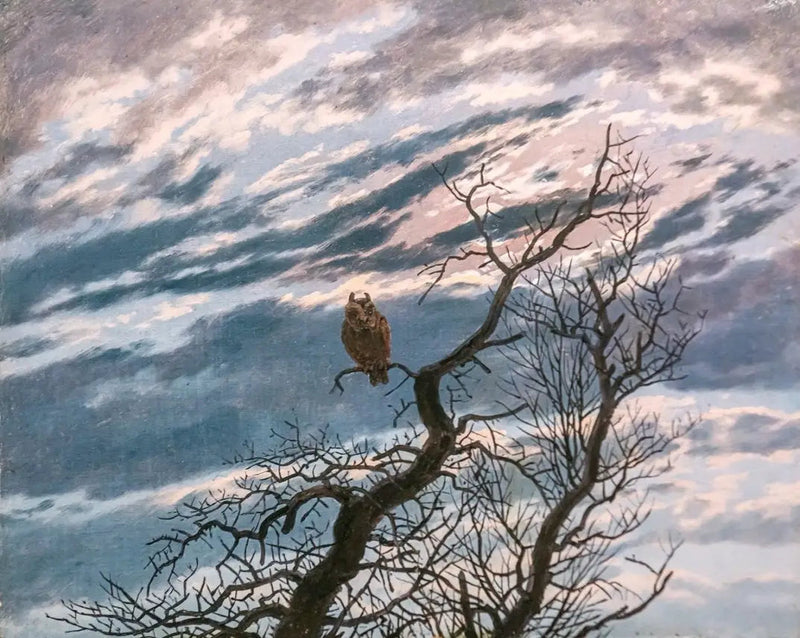 Coruja em uma árvore - Caspar David Friedrich