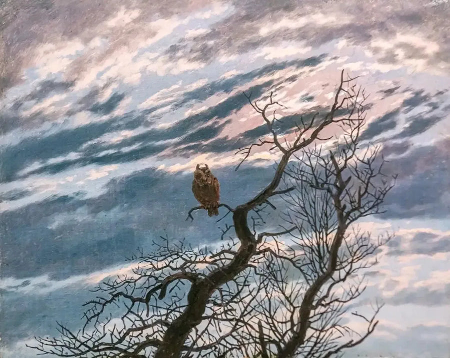 Coruja em uma árvore - Caspar David Friedrich