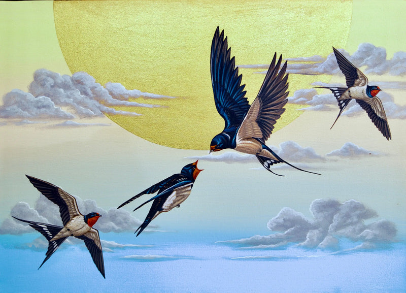 Andorinha no Céu  | 70 X 50 cm