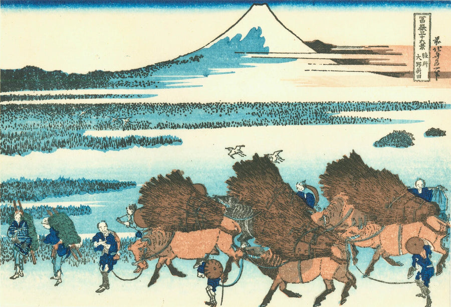 Os campos de arroz de Ono na província de Suruga - Katsushika Hokusai
