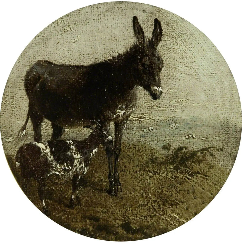 Oito cenas de fazenda circulares: burro e cabra - John Frederick Herring, Sr.
