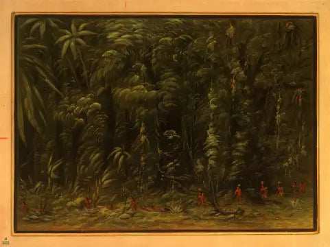 Interior de uma floresta amazônica - Zurumati - George Catlin