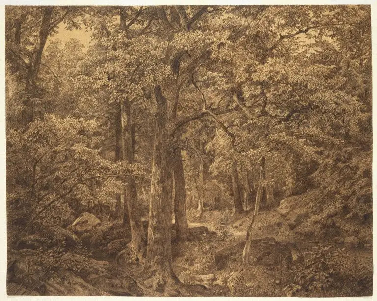 Interior da floresta - William Trost Richards