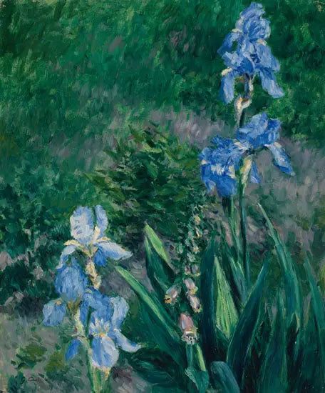 Íris azuis, jardim do Petit Gennevilliers - Gustave Caillebotte