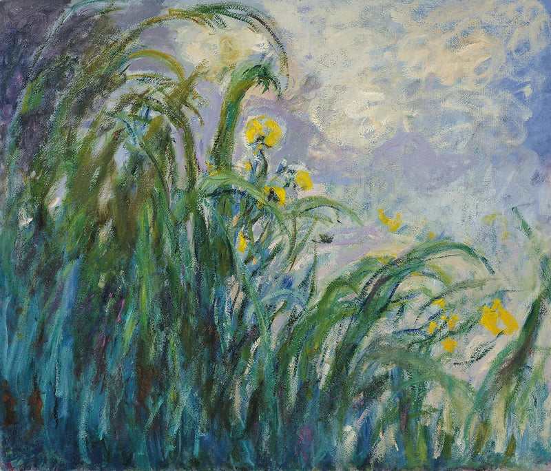 Íris amarelos - Claude Monet