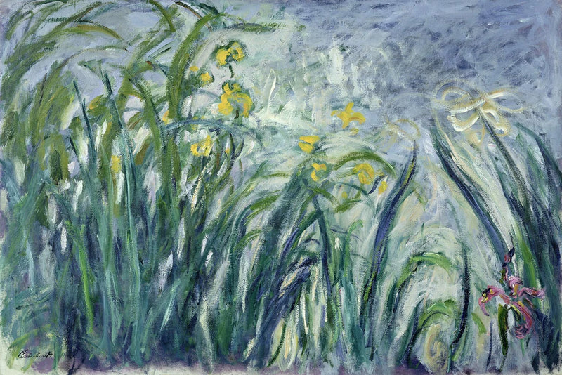 Íris amarelas e roxas - Claude Monet