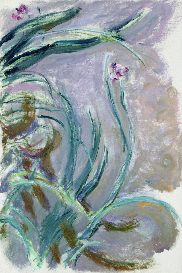 Íris - Claude Monet