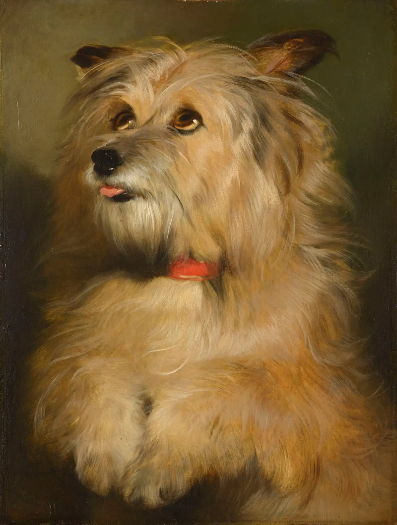 Islay - Edwin Henry Landseer