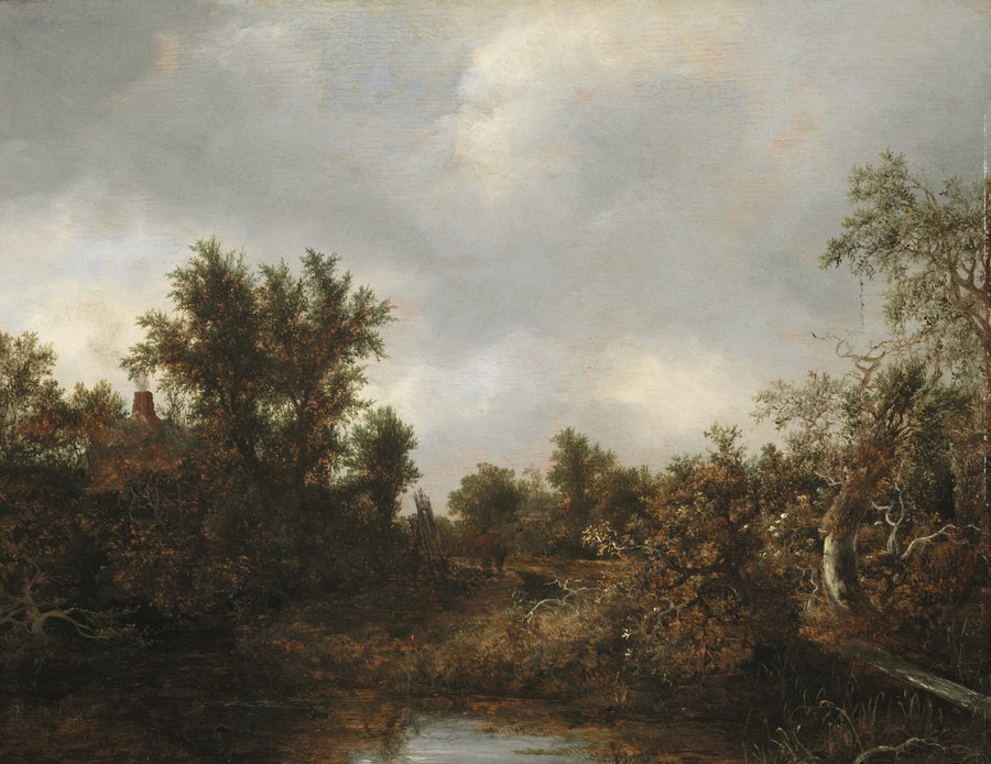 Paysage aux arbres et à la rivière - Jacob van Ruisdael