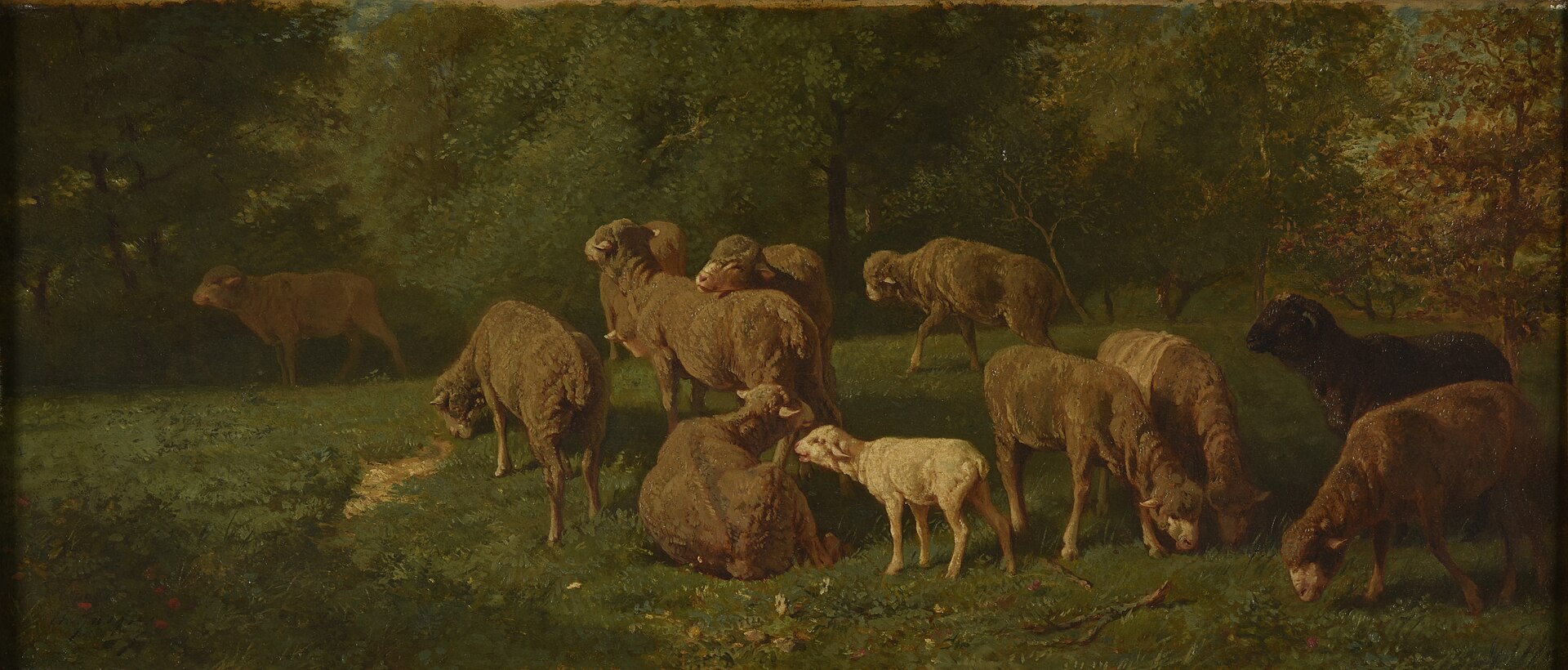 Paysage avec moutons et vaches - Charles Jacque