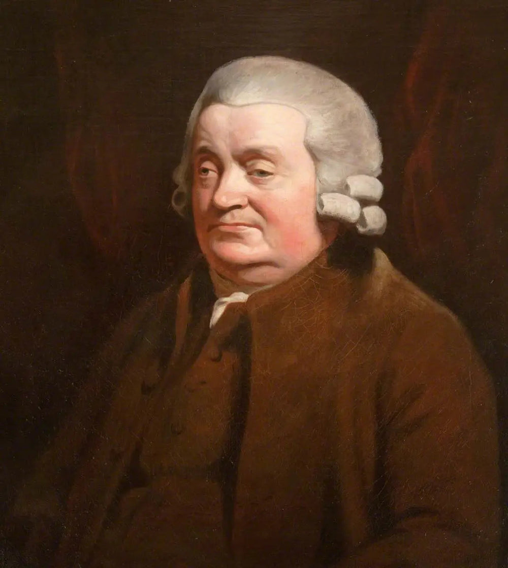 James Johnston (1721–1797) chirurgien prévôt de Dundee (1790–1791) - Henry Raeburn - Alpha Reproduction