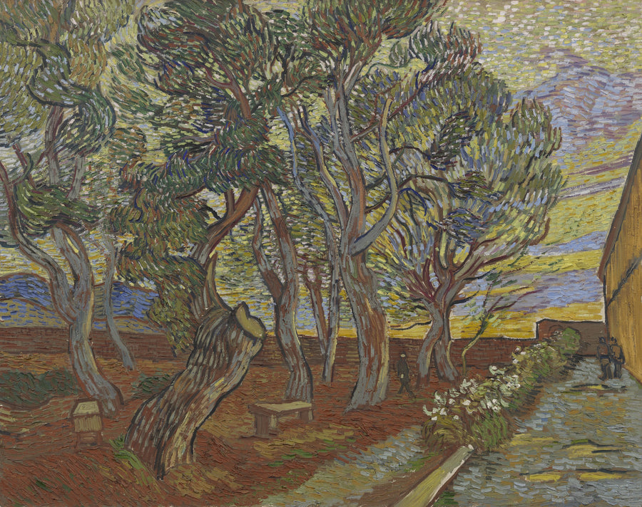 Jardim do Asilo - Vincent van Gogh