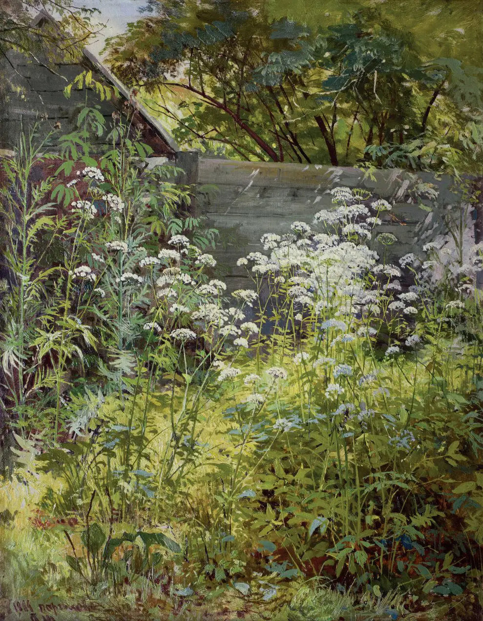 Jardin d’angle envahi par la végétation. Aegopodium - Ivan Chichkine - Alpha Reproduction
