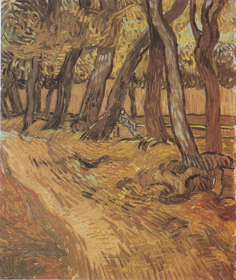 Jardim do hospital Saint-Paul com Figura, O - Vincent van Gogh