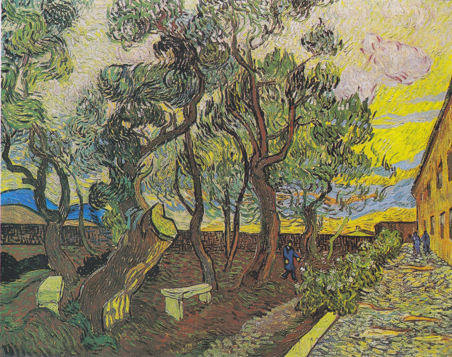Jardim do hospital Saint-Paul em Saint-Rémy - Vincent van Gogh