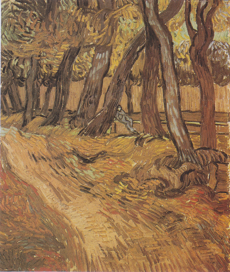 Jardim do hospital Saint-Paul com Figura, O - Vincent van Gogh