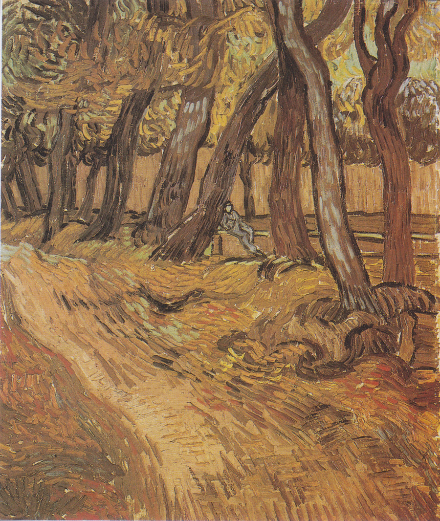 Jardim do hospital Saint-Paul com Figura, O - Vincent van Gogh
