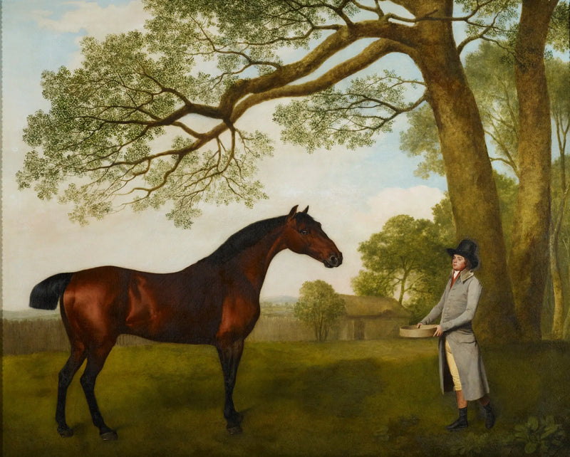 John Gascoigne com um cavalo castanho - George Stubbs