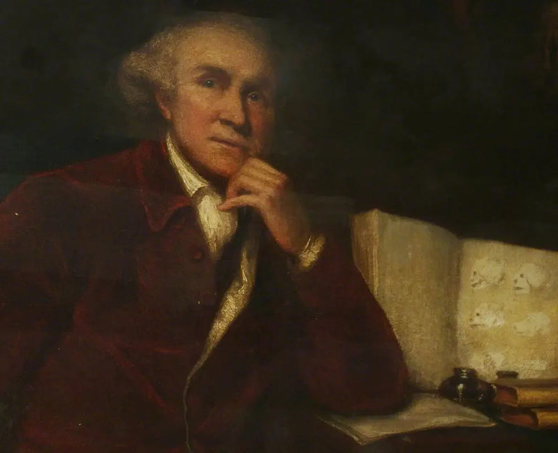 John Hunter, cavalheiro, plebeu desta sala - Joshua Reynolds