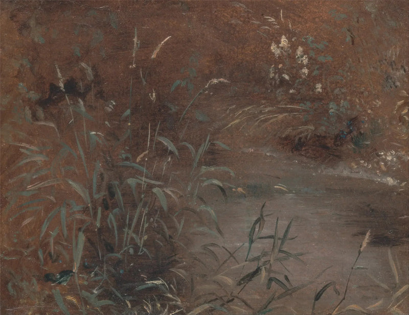 Juncos à beira da piscina - John Constable