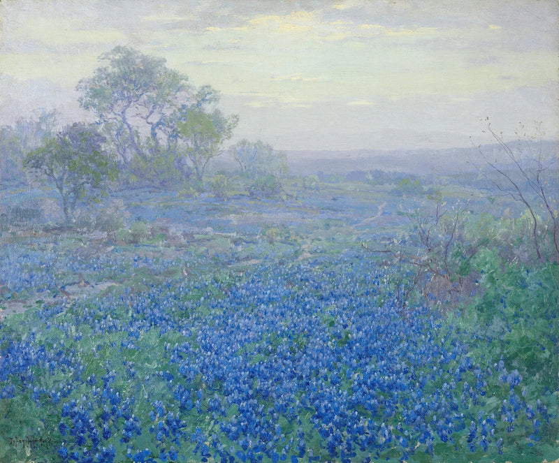 Dia nublado, lupinos azuis perto de San Antonio, Texas - Julian Onderdonk