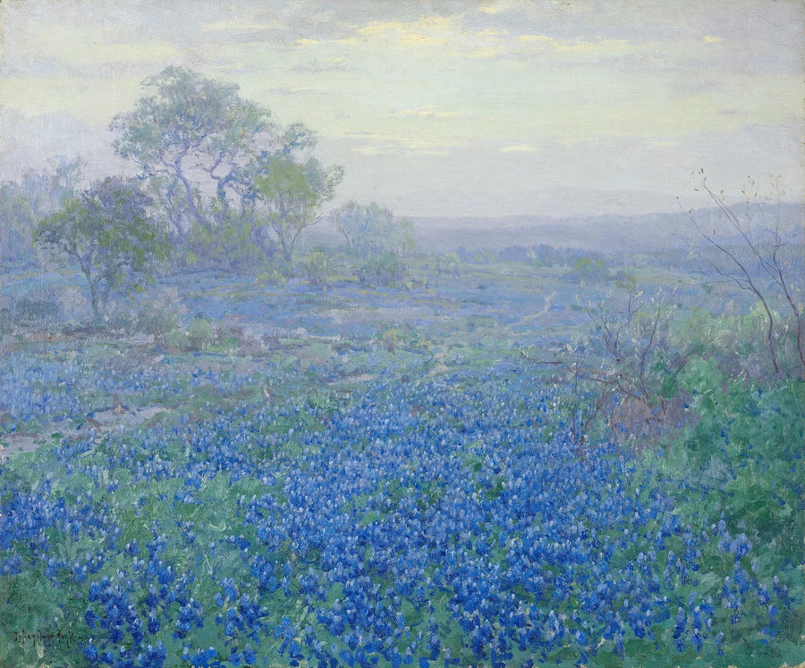 Dia nublado, lupinos azuis perto de San Antonio, Texas - Julian Onderdonk