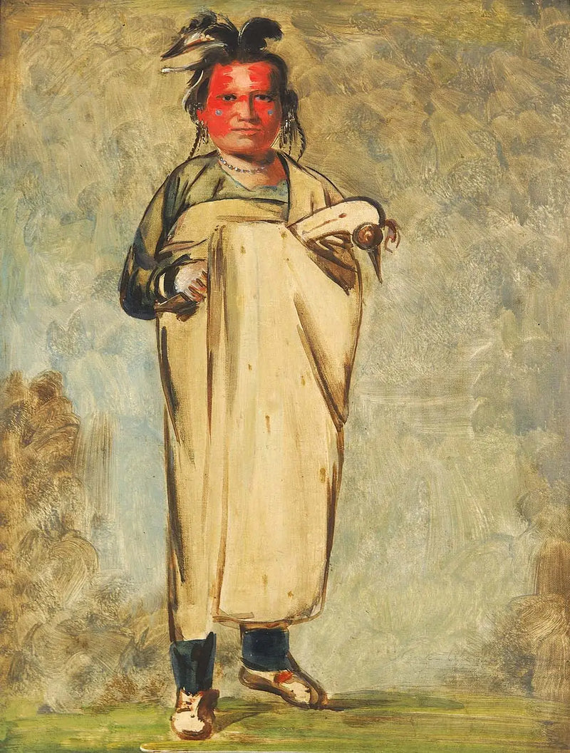 Káw-kaw-ne-chóo-a, um Brave - George Catlin