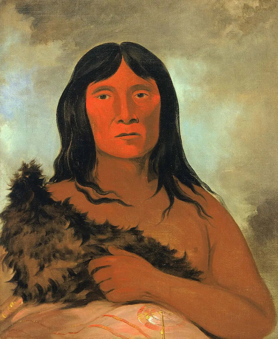 Kay-ée-qua-da-kúm-ee-gísh-kum, Aquele que sondar o solo com o pé - George Catlin
