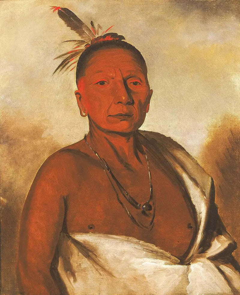 Kid-à-day, um cavalheiro distinto - George Catlin