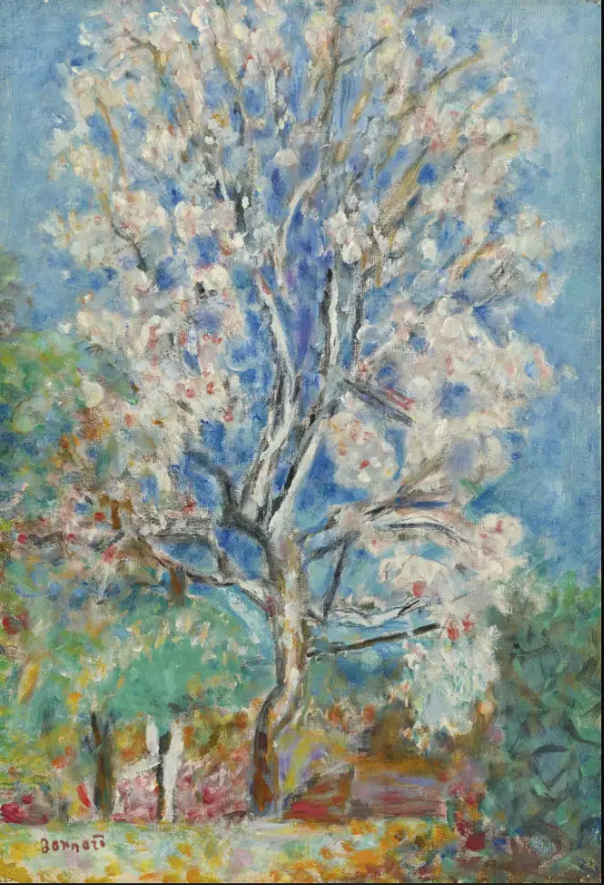 O Amendoeira em Flores - Pierre Bonnard