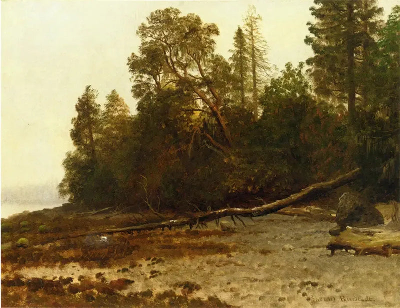 A árvore caída - Albert Bierstadt