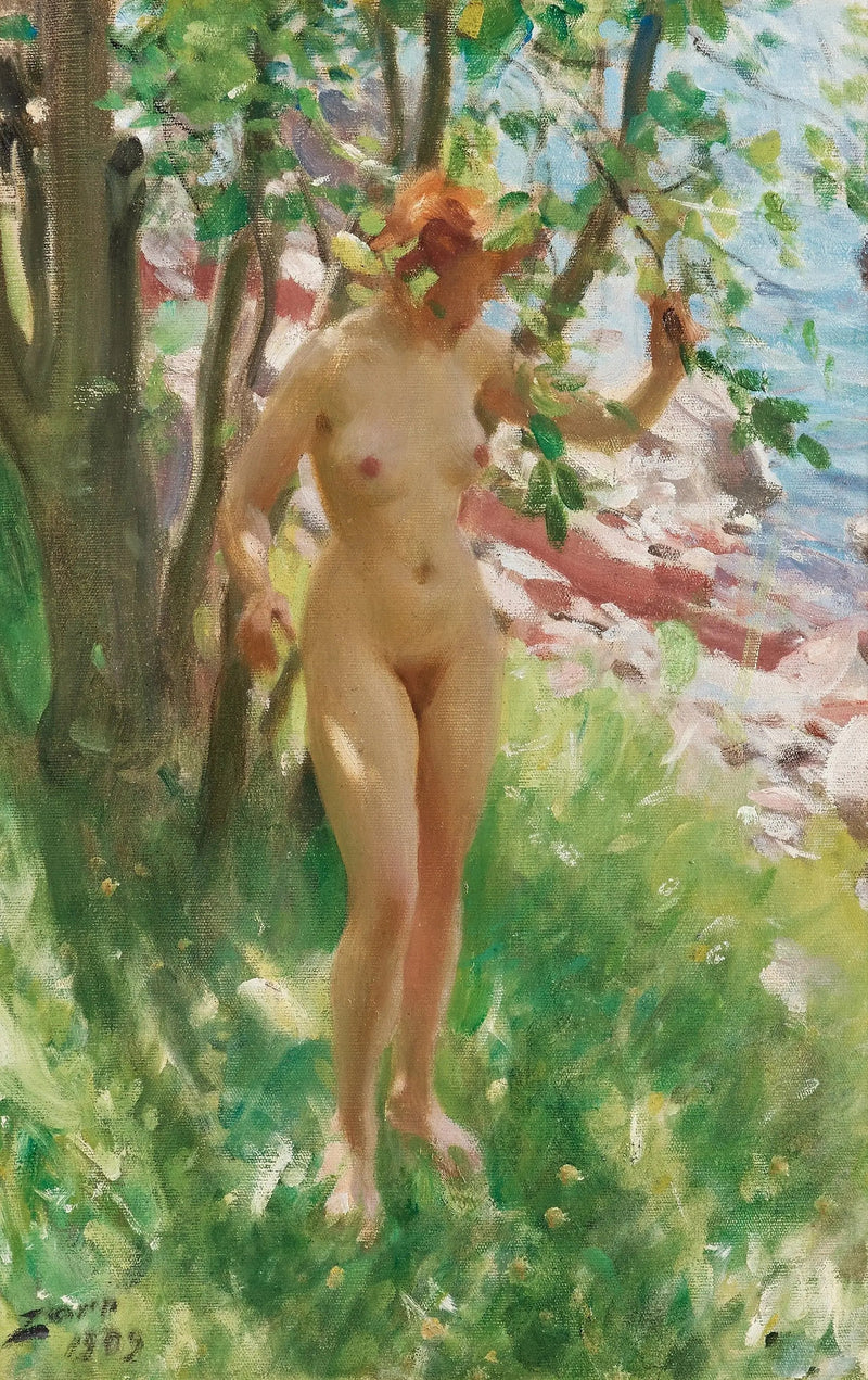 A Sombra - Anders Zorn