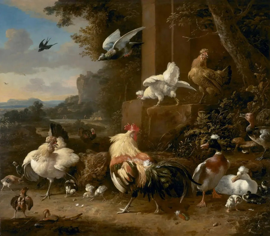 A granja - Melchior de Hondecoeter