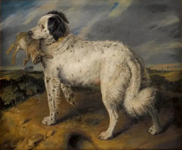 A Campeã: Vênus - Edwin Henry Landseer