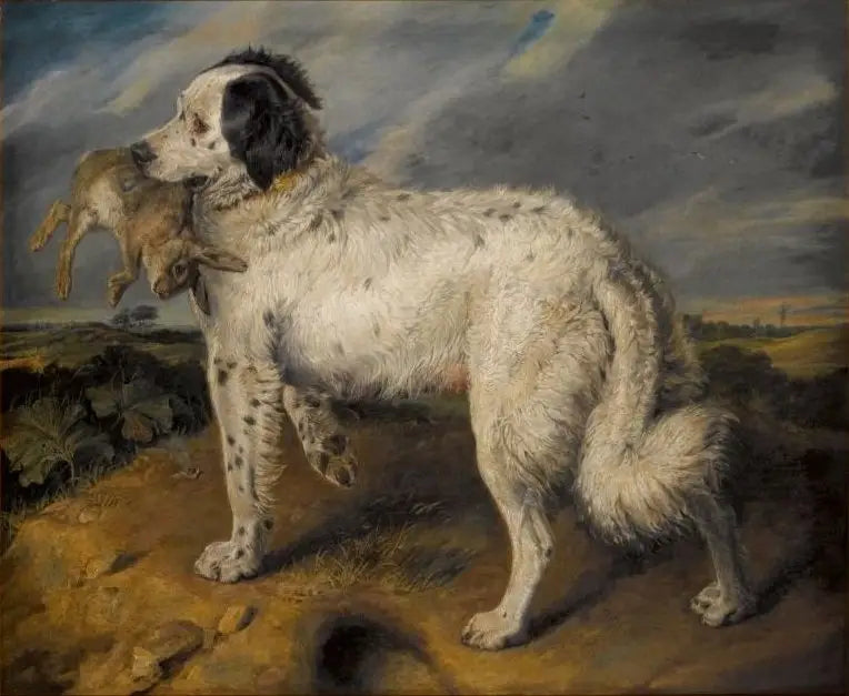 A Campeã: Vênus - Edwin Henry Landseer