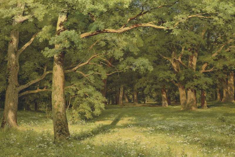 A clareira da floresta - Ivan Chichkine