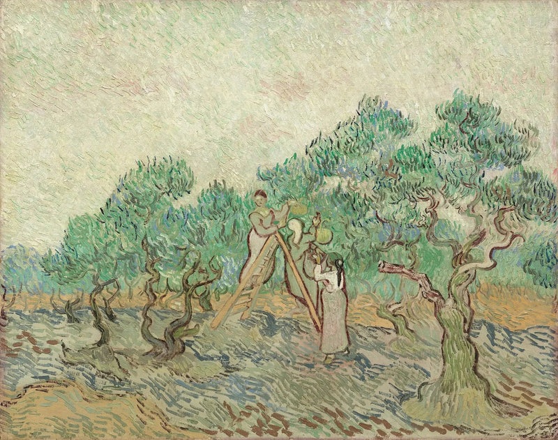 A Colheita das Azeitonas - Vincent van Gogh