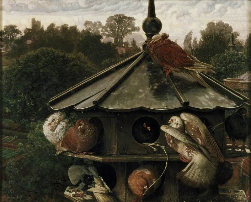 A Festa de São Swithin (O Pombal) - William Holman Hunt