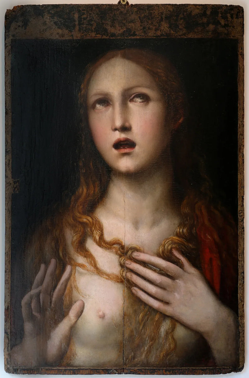 Q117777120 - Il Sodoma (Giovanni Antonio Bazzi)