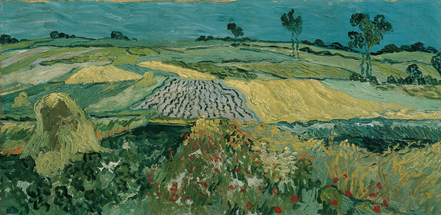 A planície de Auvers - Vincent van Gogh