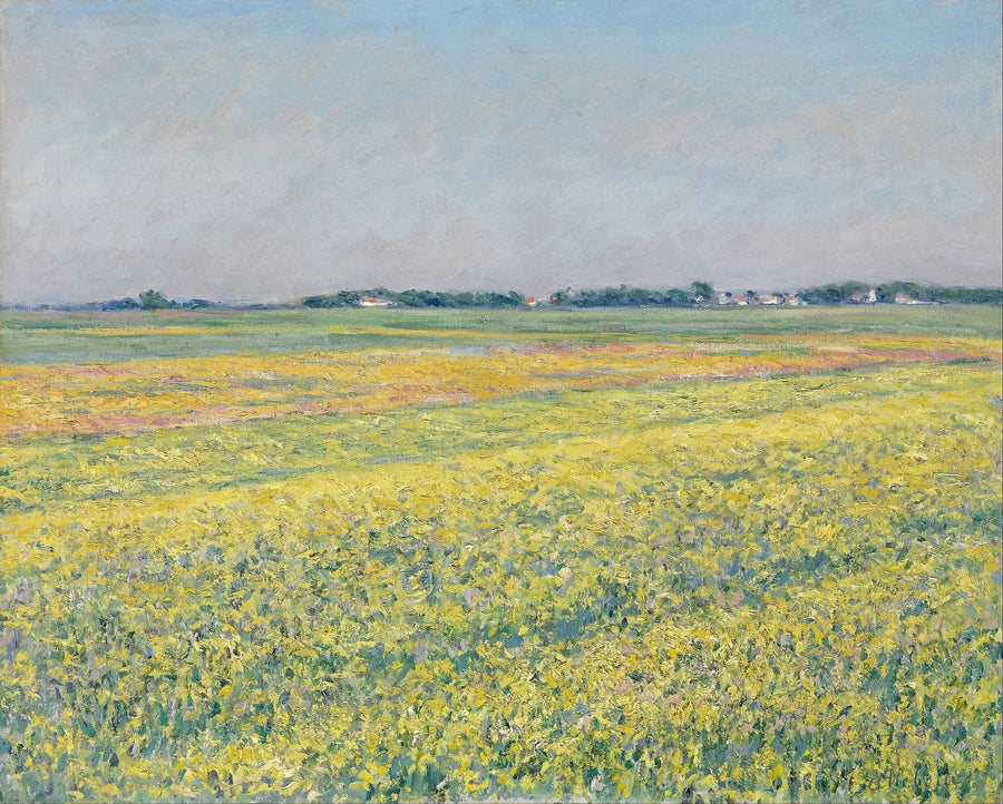 A planície de Gennevilliers, campos amarelos - Gustave Caillebotte