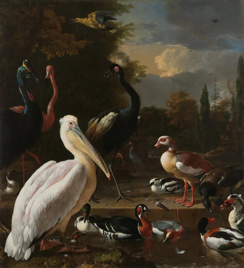 A pena flutuante - Melchior de Hondecoeter