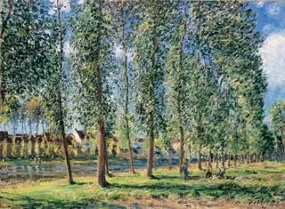 A fileira de álamos em Moret - Alfred Sisley