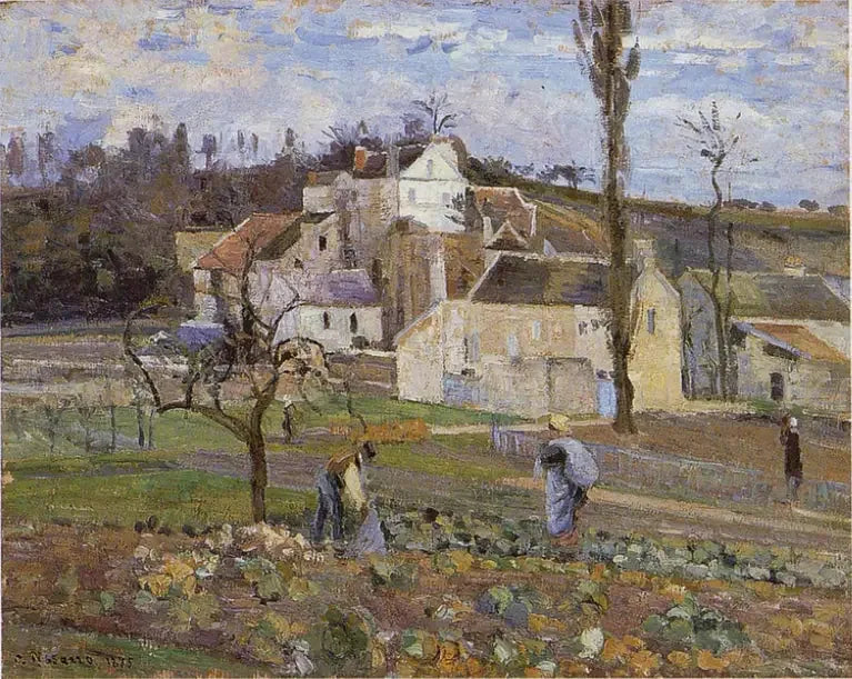 A Colheita de Repolhos, l'Hermitage, Pontoise - Camille Pissarro