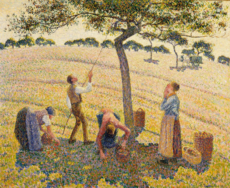 A colheita das maçãs em Éragny - Camille Pissarro