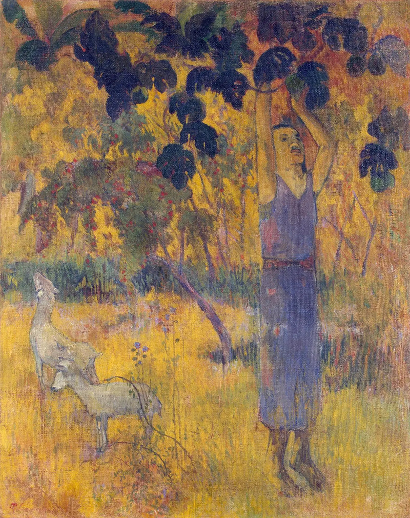 A colheita, ou Homem colhendo frutas - Paul Gauguin