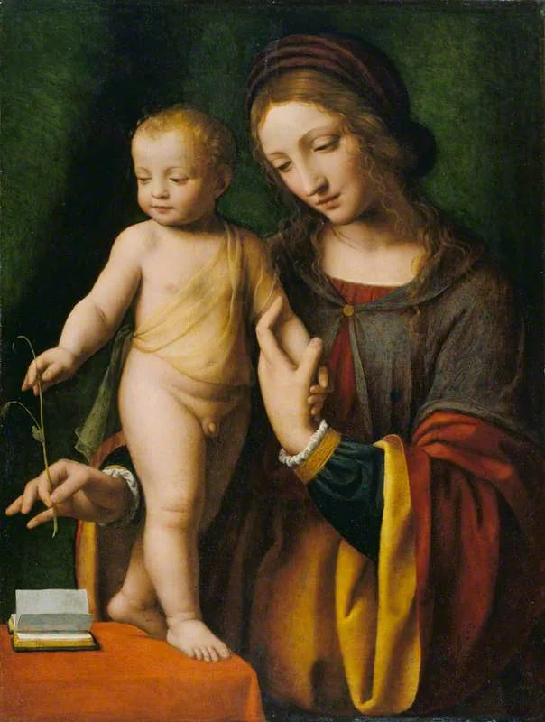 A Virgem com o Menino e uma aquilégia - Bernardino Luini