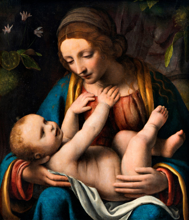 A Virgem com o Menino - Bernardino Luini