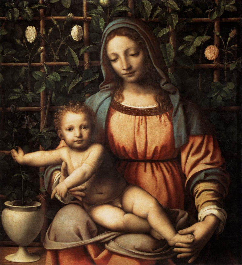 A Virgem no Roseiral - Bernardino Luini
